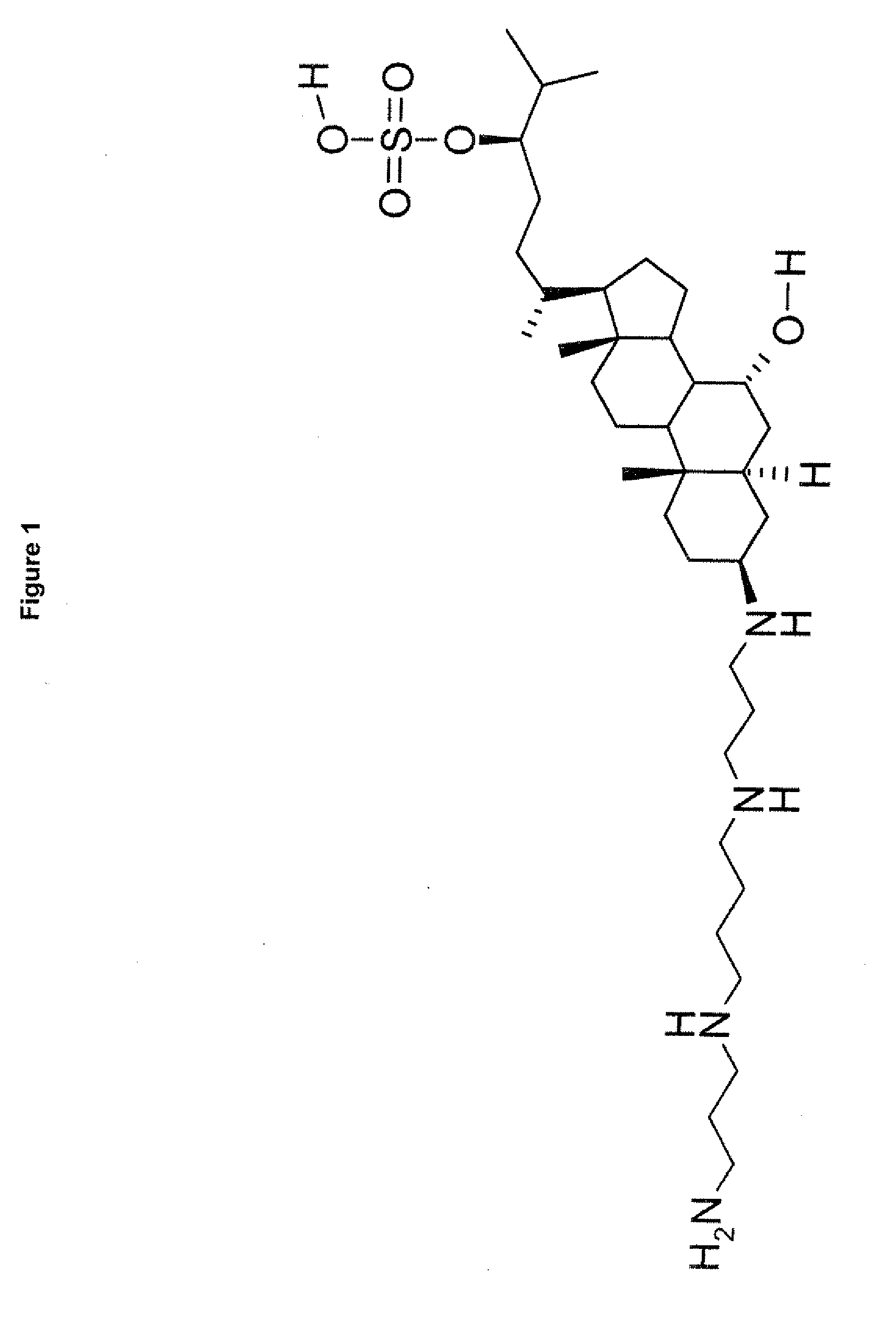 Induction of weight loss and the selective inhibition of PTP1B