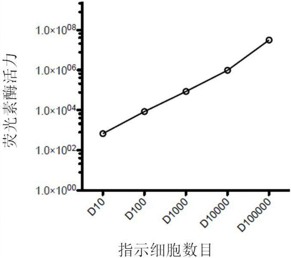 A car-t cytotoxicity indicator carrier