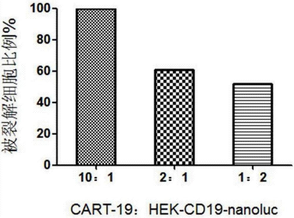 A car-t cytotoxicity indicator carrier