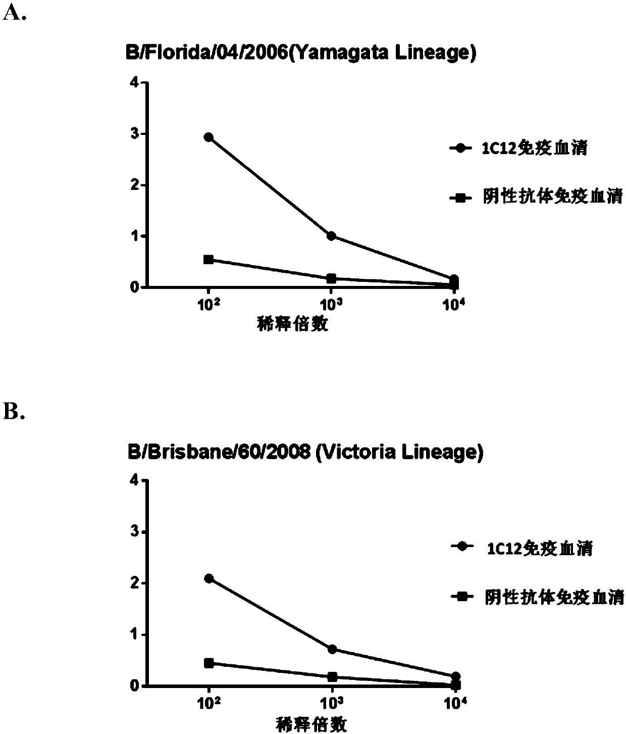 Anti-idiotypic antibody and applications thereof