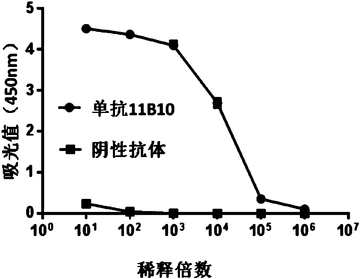 Anti-idiotypic antibody and applications thereof