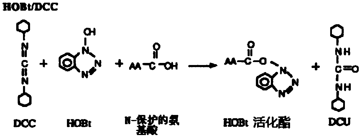 Human atretin epitope peptide, antigen, antibody, kit and application