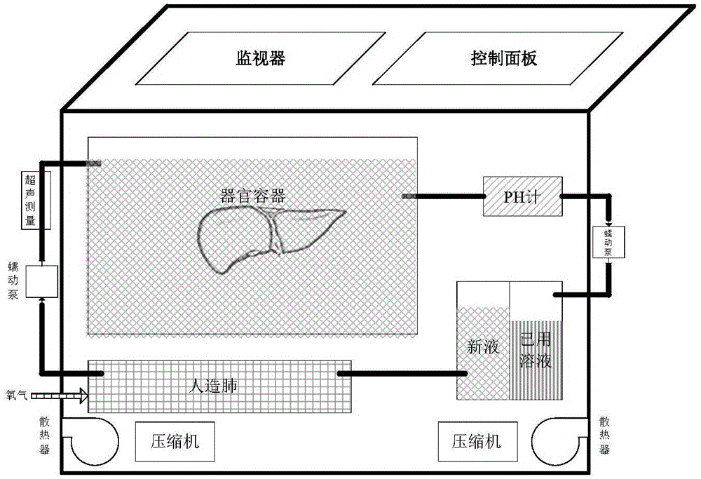 High-precision constant-temperature perfusion instrument for isolated organs