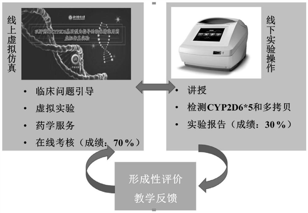 Fluvoxamine clinical precise application virtual simulation experiment system based on CYP2D6 genotype