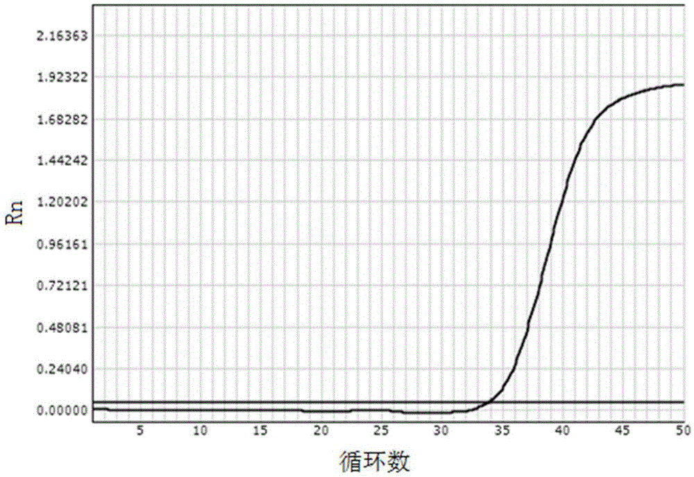 Lysis solution for extracting nucleic acid through magnetic bead method