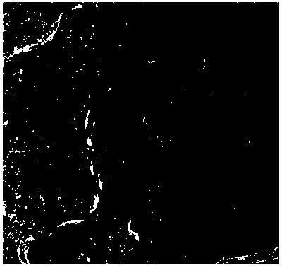 Color reconstruction method for optical remote sensing image based on convolutional neural network