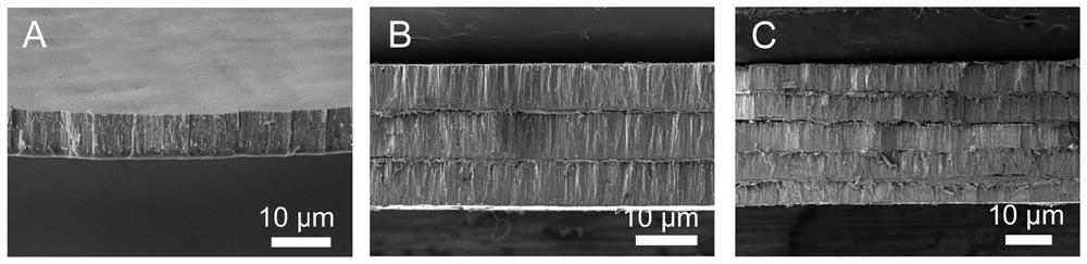 Preparation method of composite material with enamel-like structure