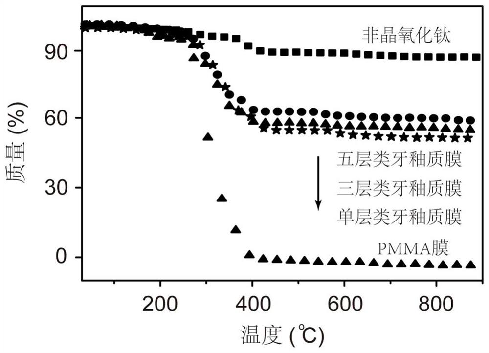 Preparation method of composite material with enamel-like structure