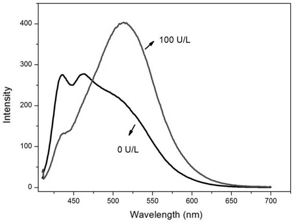 A ratiometric leucine aminopeptidase fluorescent probe, its preparation method and its application in targeted imaging of liver tumor cells