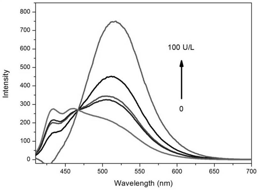 A ratiometric leucine aminopeptidase fluorescent probe, its preparation method and its application in targeted imaging of liver tumor cells