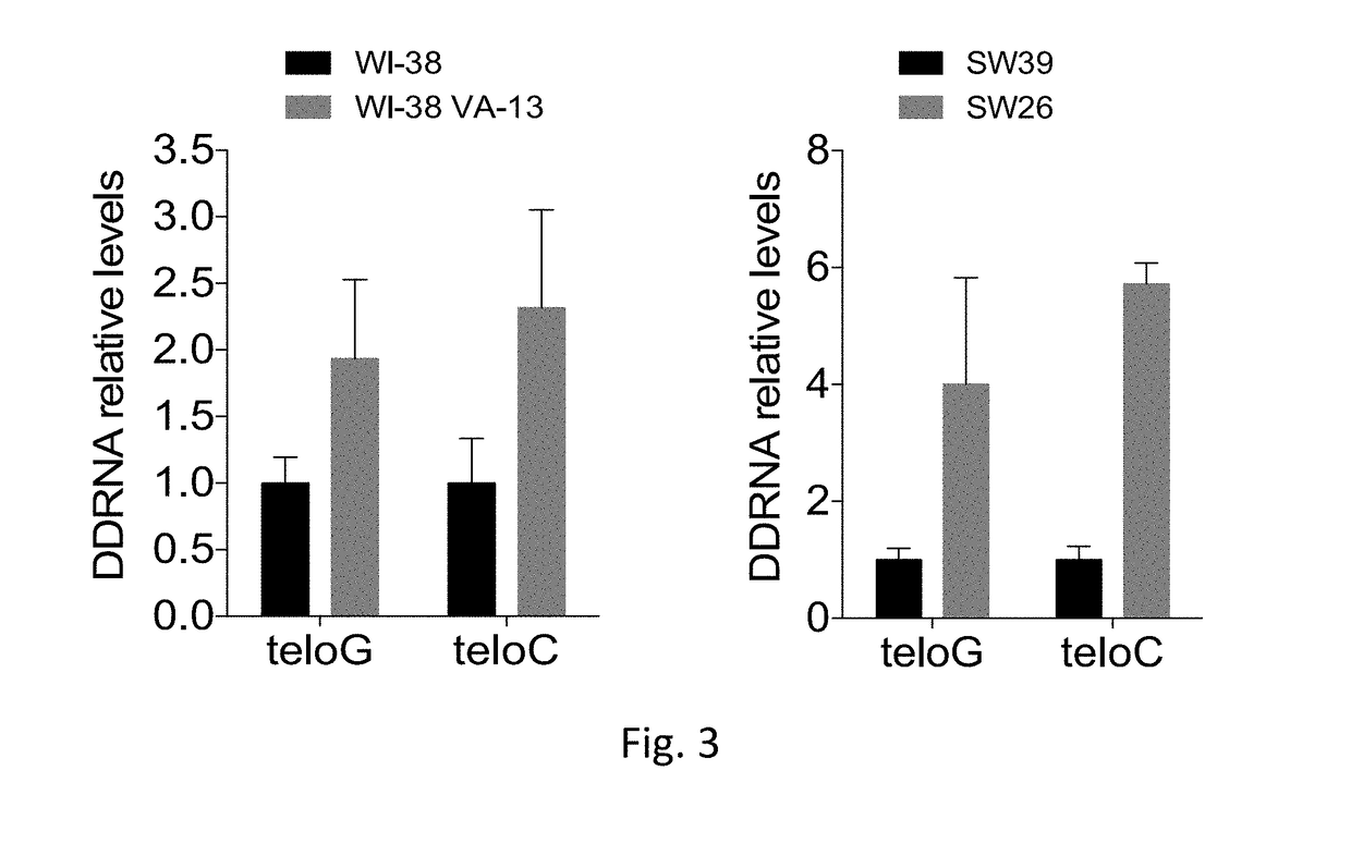 Therapeutic oligonucleotides