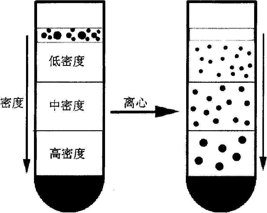 Method for separating nano-particles at water-phase density gradient centrifugation rate