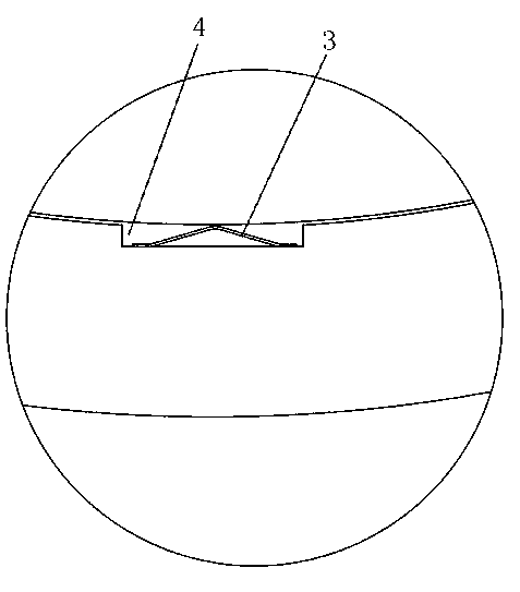 Assembly structure of insulator and external flange