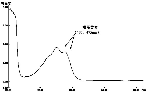 Method for extracting and purifying fucoxanthin