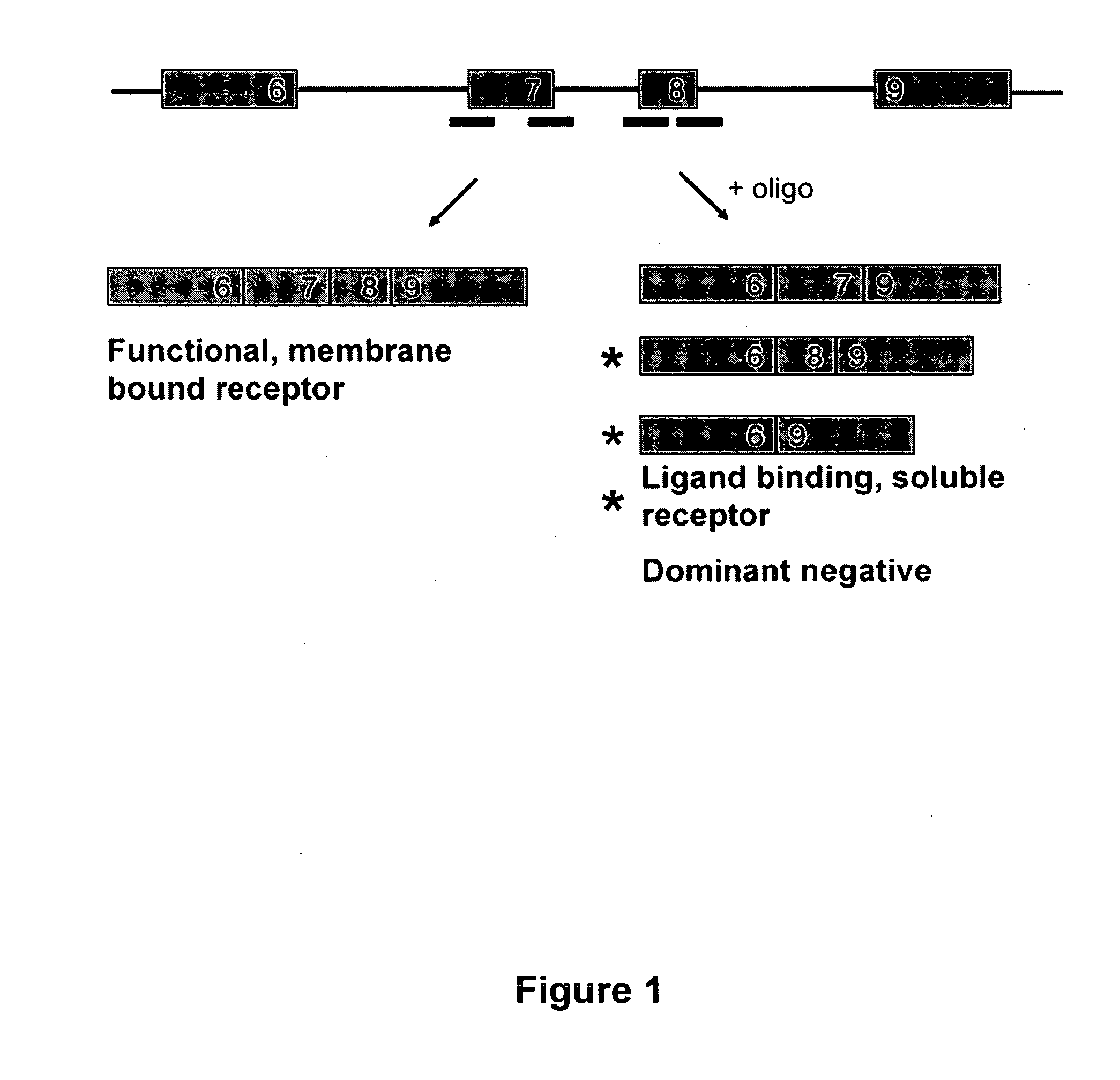 Splice switch oligomers for TNF superfamily receptors and their use in treatment of disease