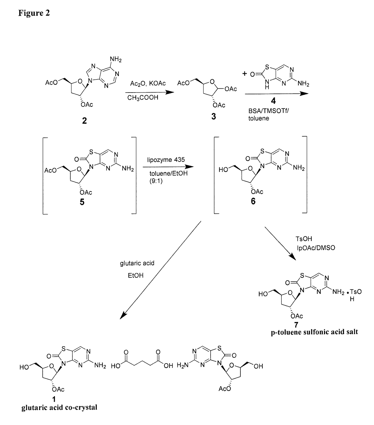 Co-crystals of 5-amino-2-oxothiazolo[4,5-d]pyrimidin-3(2H)-yl-5-hydroxymethyl tetrahydrofuran-3-yl acetate and methods for preparing and using the same