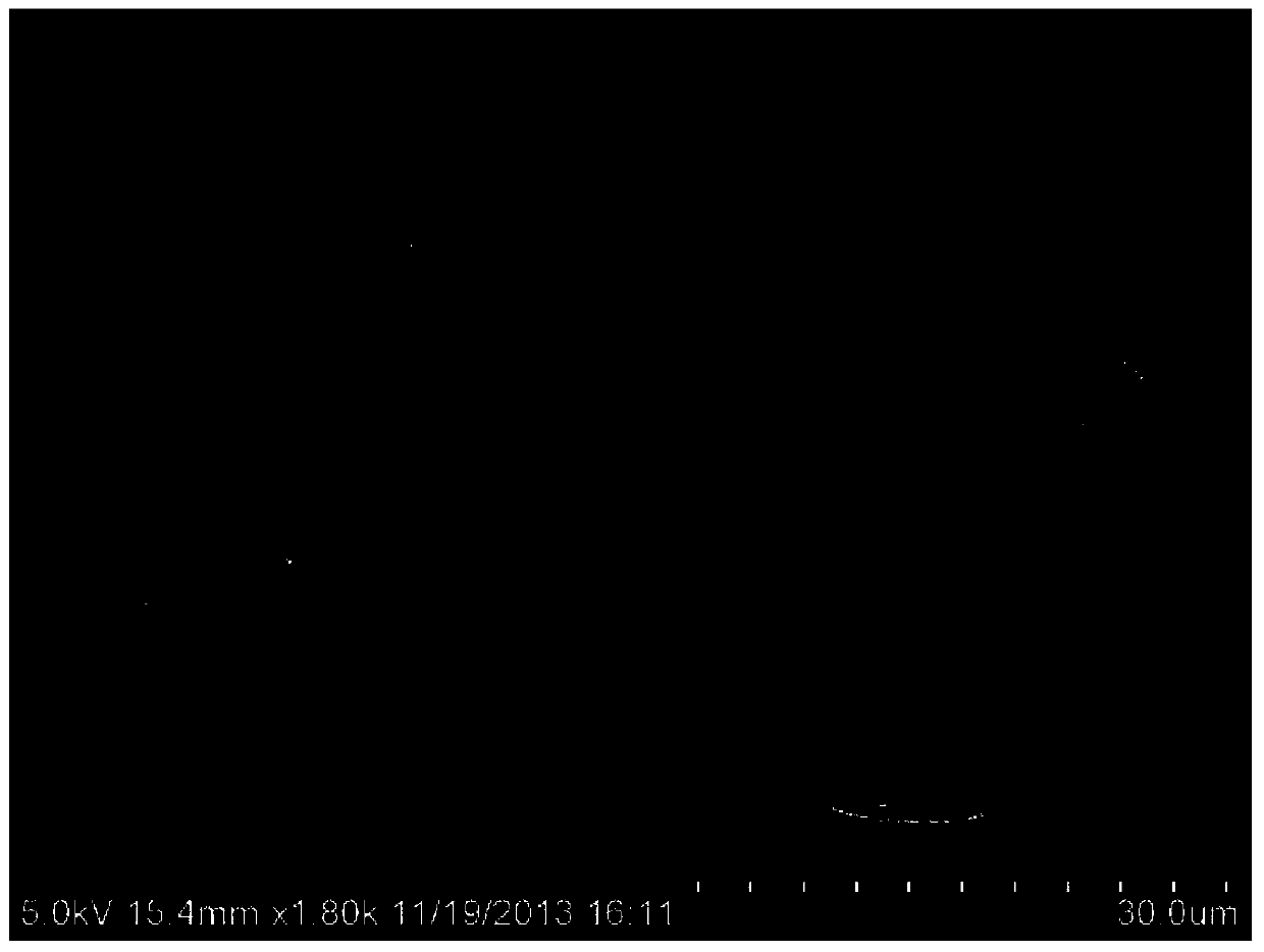 Single-stranded DNA nucleic acid modified chitosan magnetic microsphere preparation method