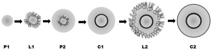 Preparation method and application of self-assembled core-shell structure positive electrode material