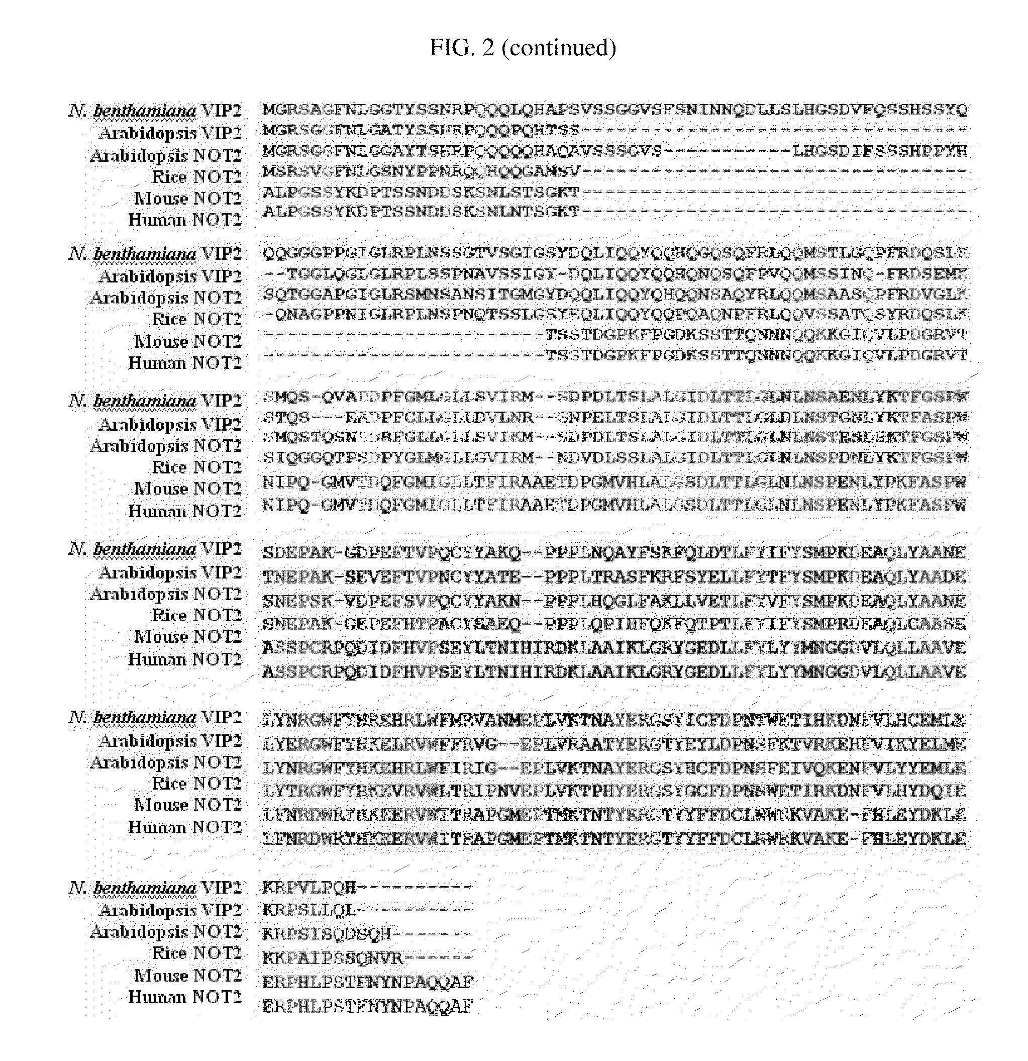 Method for agrobacterium-mediated transformation of plants