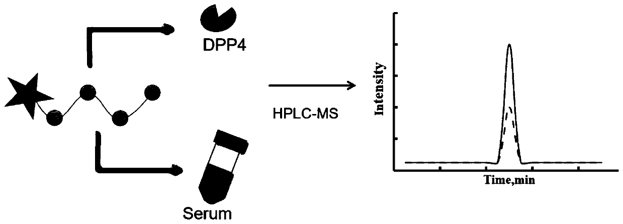 Mass spectrum probe used for DPP-4 activity detection, and preparation method and application thereof