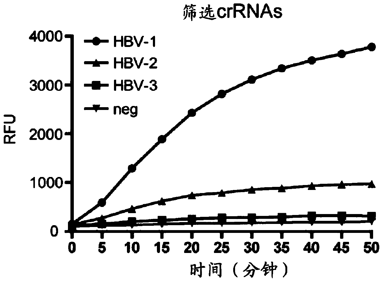 Application of crRNA targeted PCR-CRISPR system to detection of HBVDNA