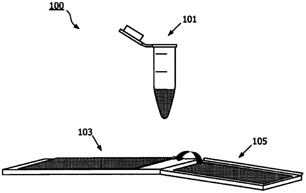 System and kit for preparing a cytological sample for examination