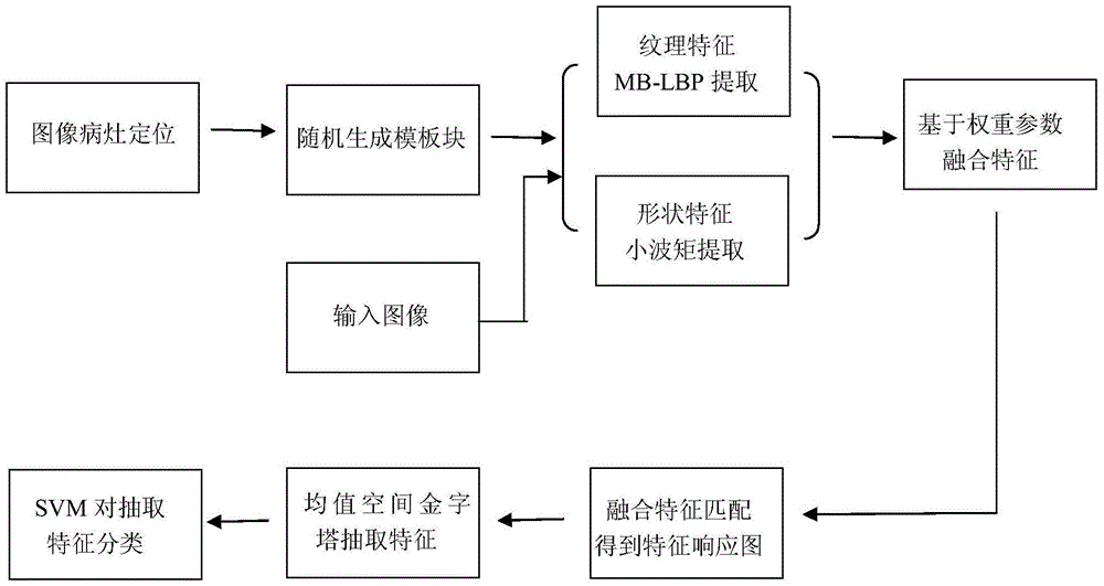 Lung cancer image fine classification method based on fusion of LBP and wavelet moment features