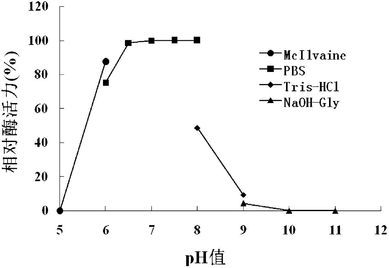 Quorum-quenching enzyme OLB-26, and coding gene and application thereof