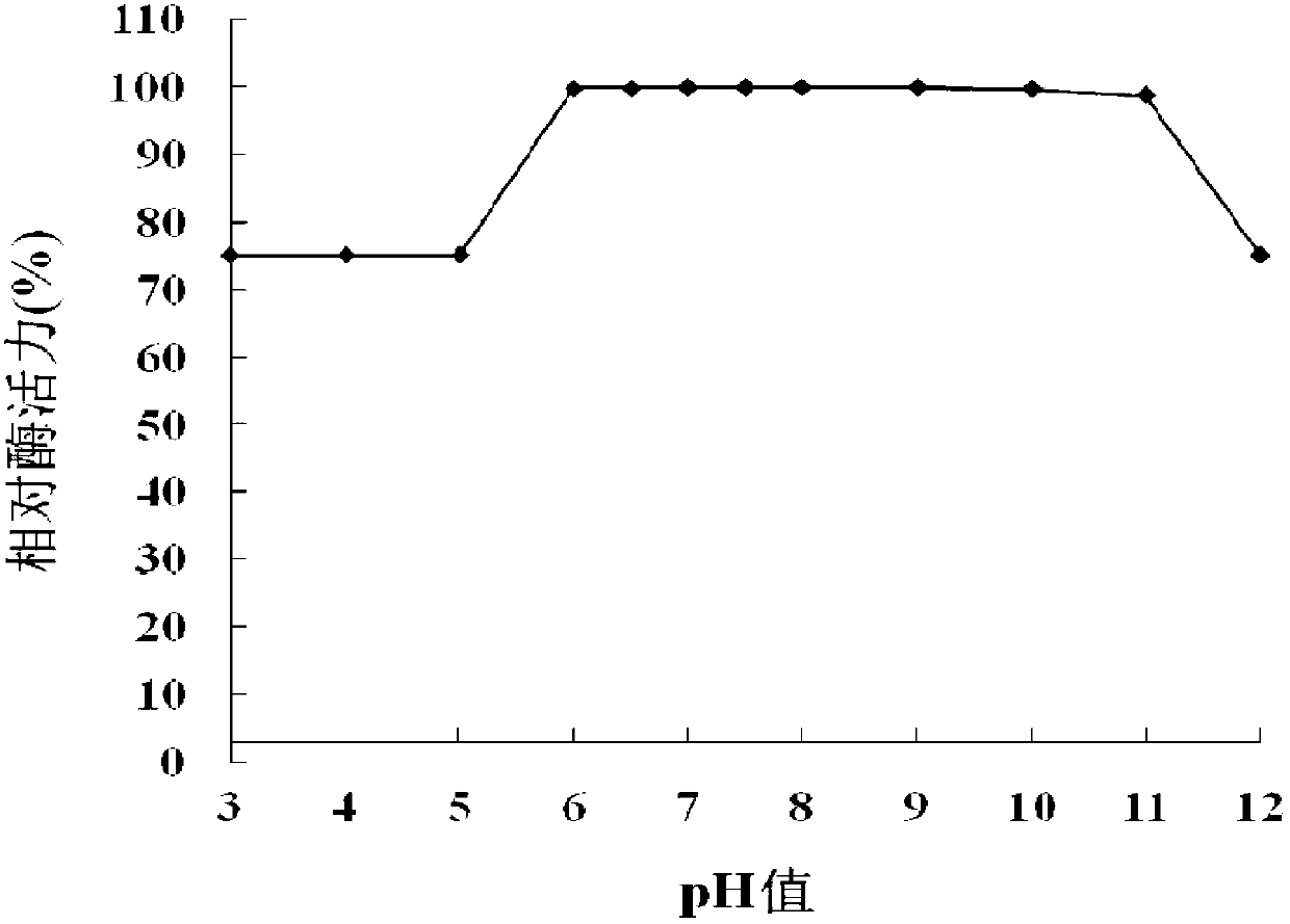 Quorum-quenching enzyme OLB-26, and coding gene and application thereof