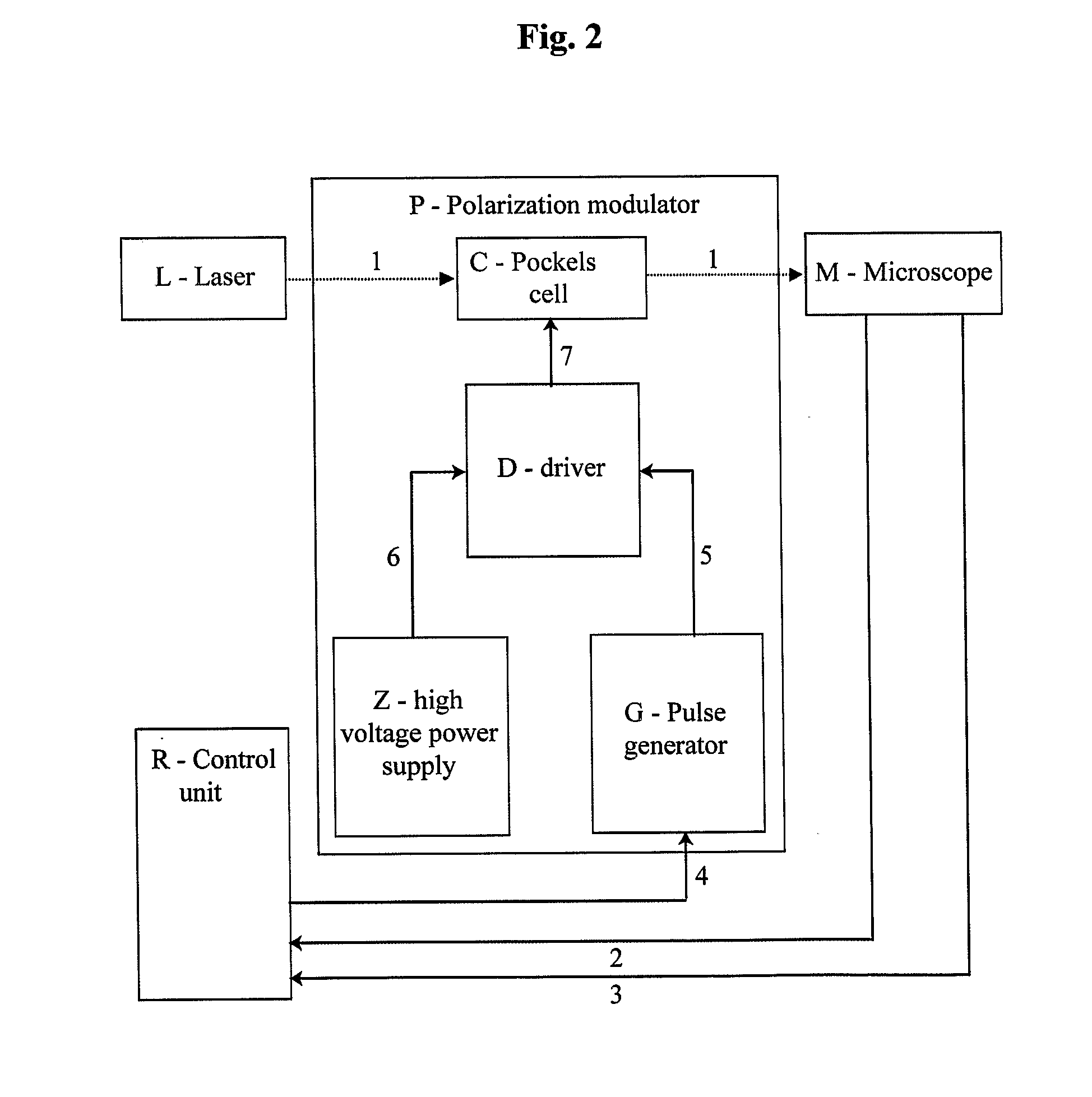 Method for obtaining structural and functional information on proteins, based on polarization fluorescence microscopy, and a device implementing said method