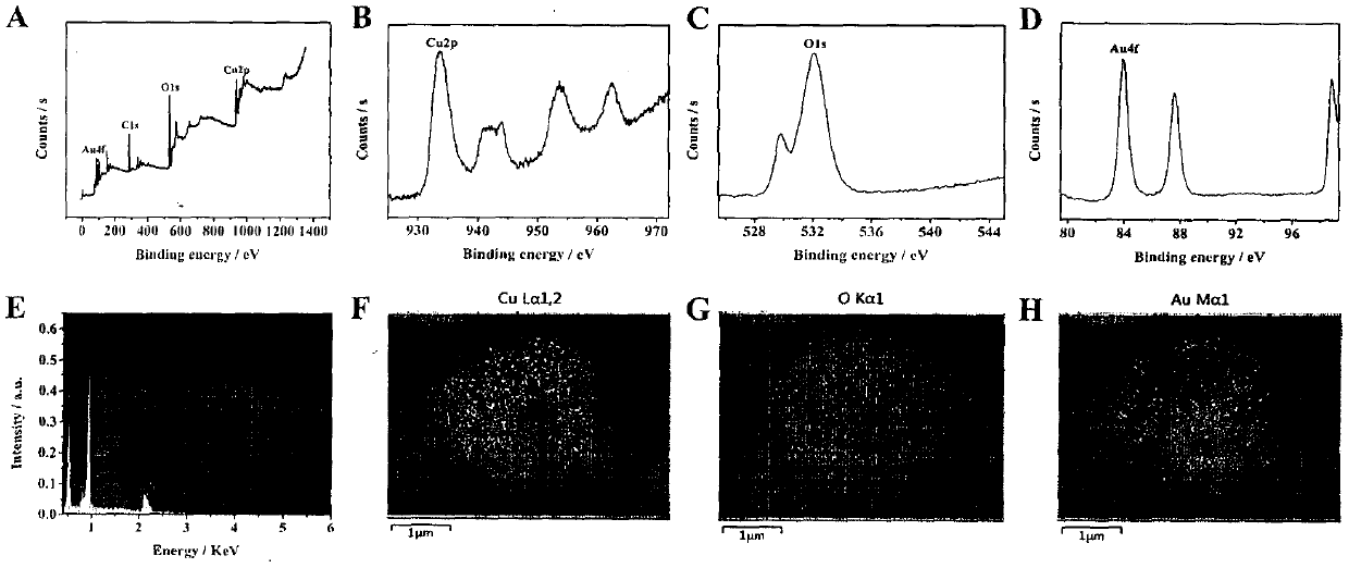 Novel biosensor for heavy metal mercury contaminant detection