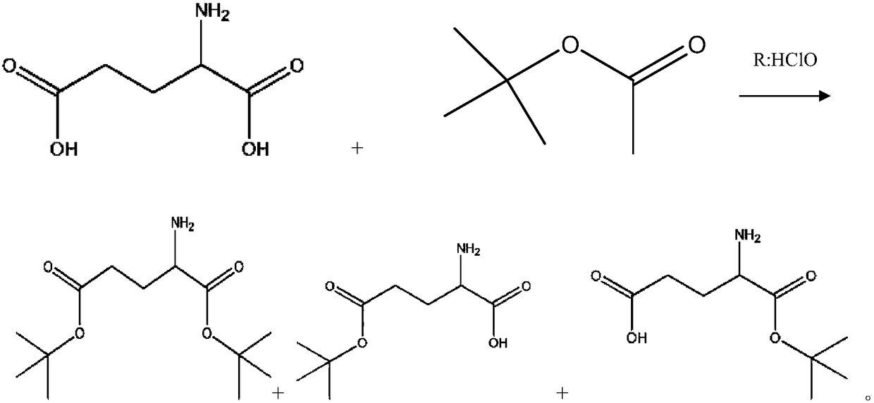 A kind of preparation method of glutamic acid-1-tert-butyl ester derivative