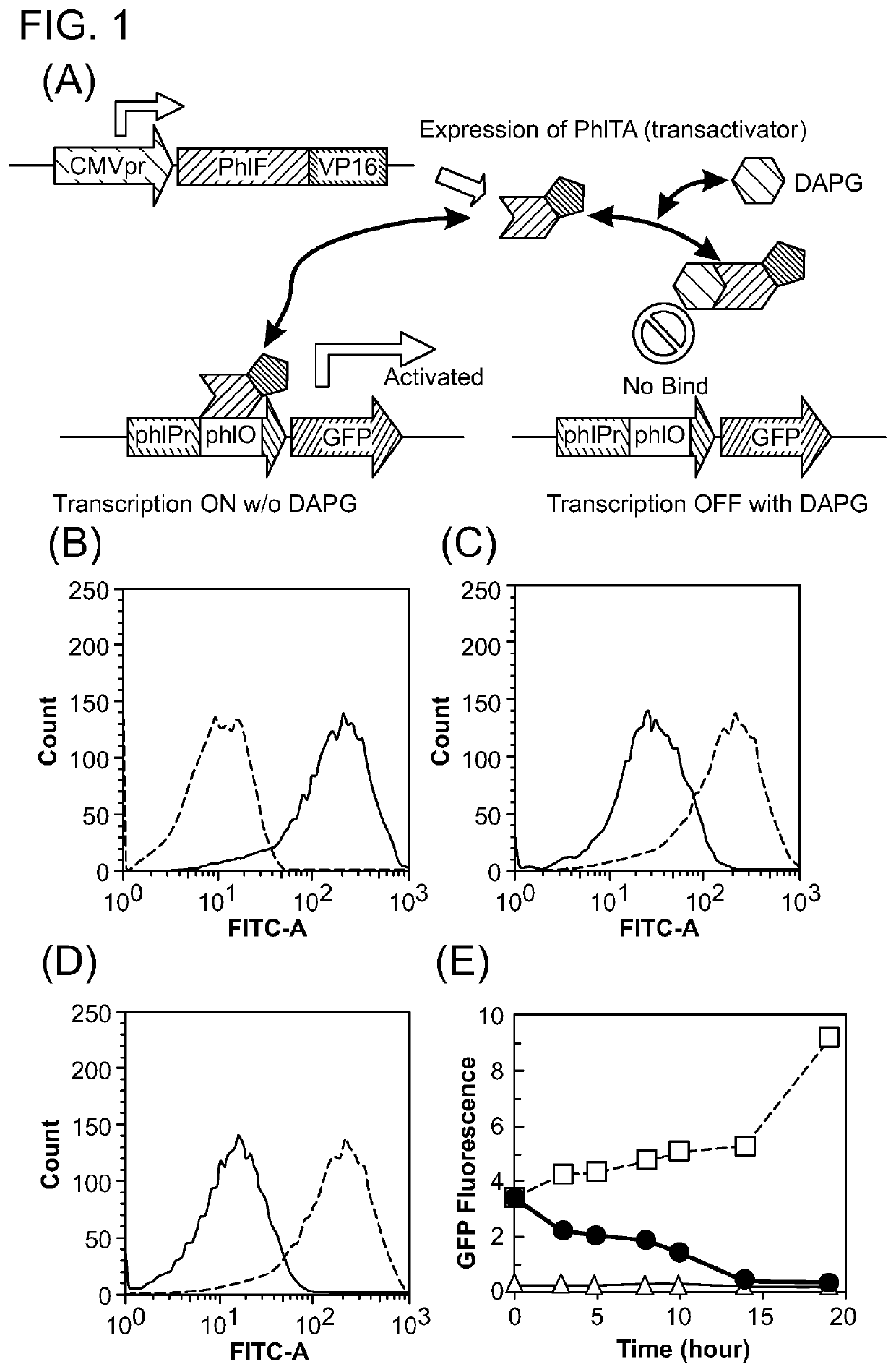 Orthogonal transcriptional switches derived from tet repressor homologs for saccharomyces cerevisiae