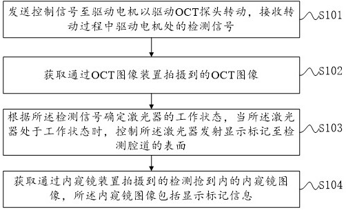 OCT image display adjustment method and device