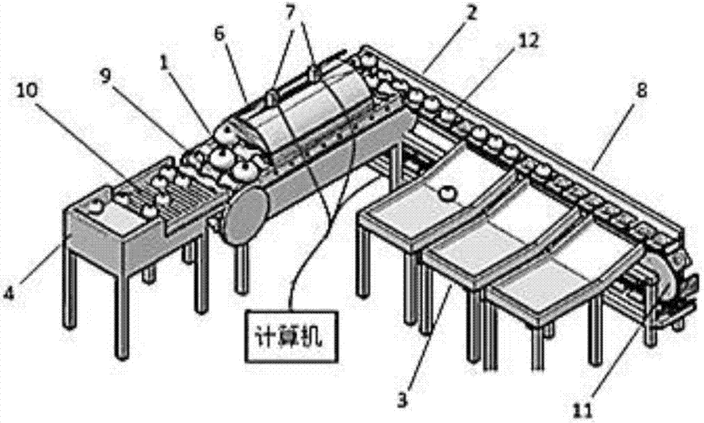 Fruit grader based on image processing