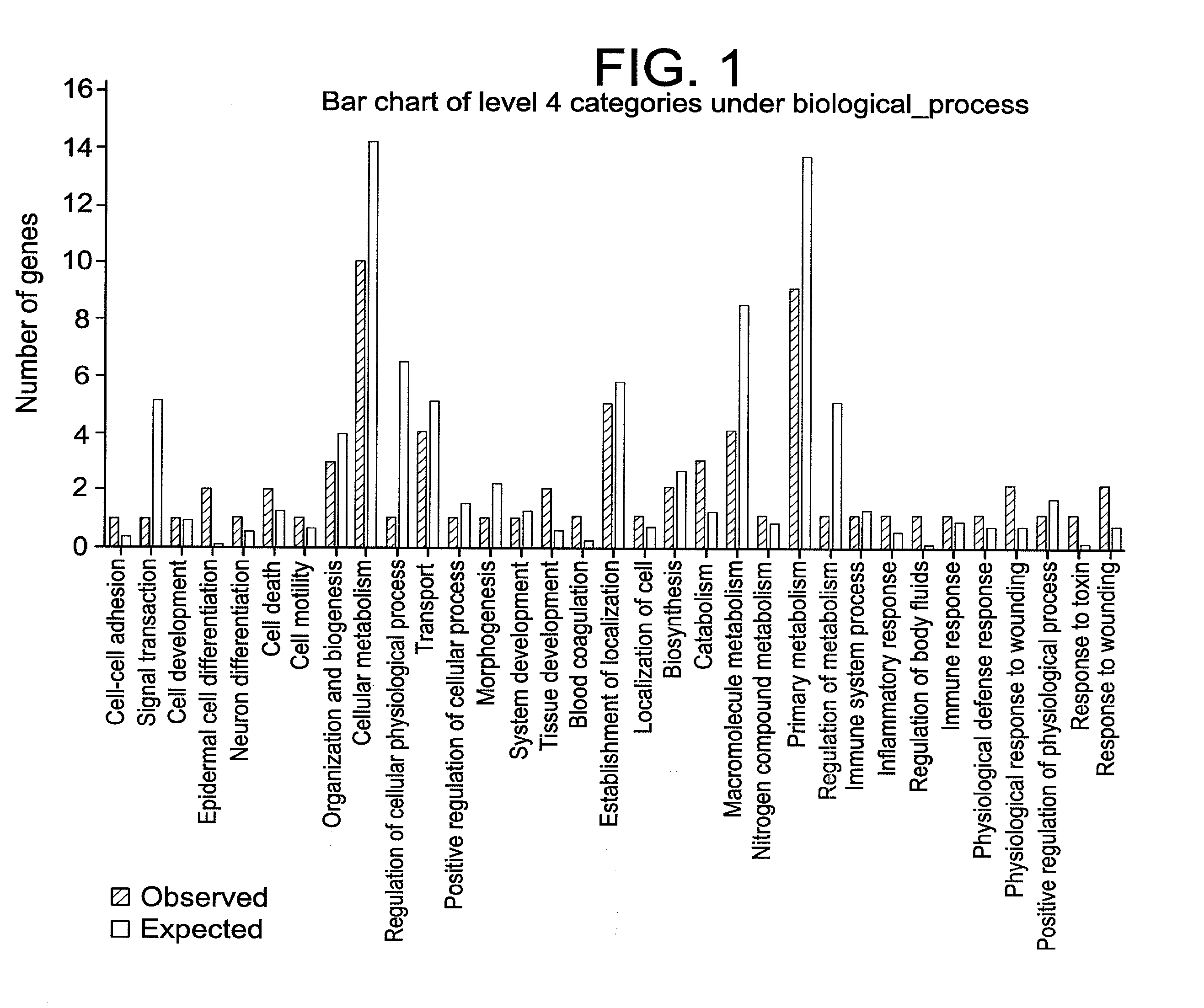 Compositions and Methods for Restoring the Stratum Corneum and Treating Dermatological Diseases