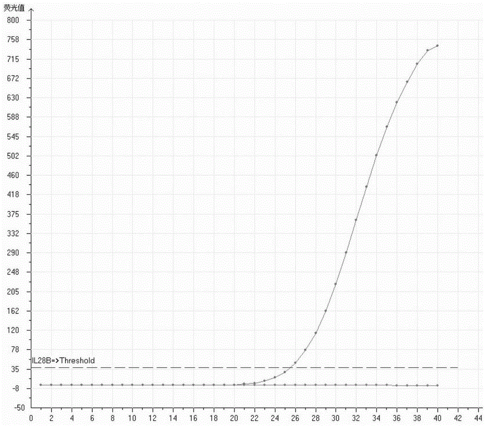 A human chromosome gene il28b site polymorphism detection kit and its detection method and application