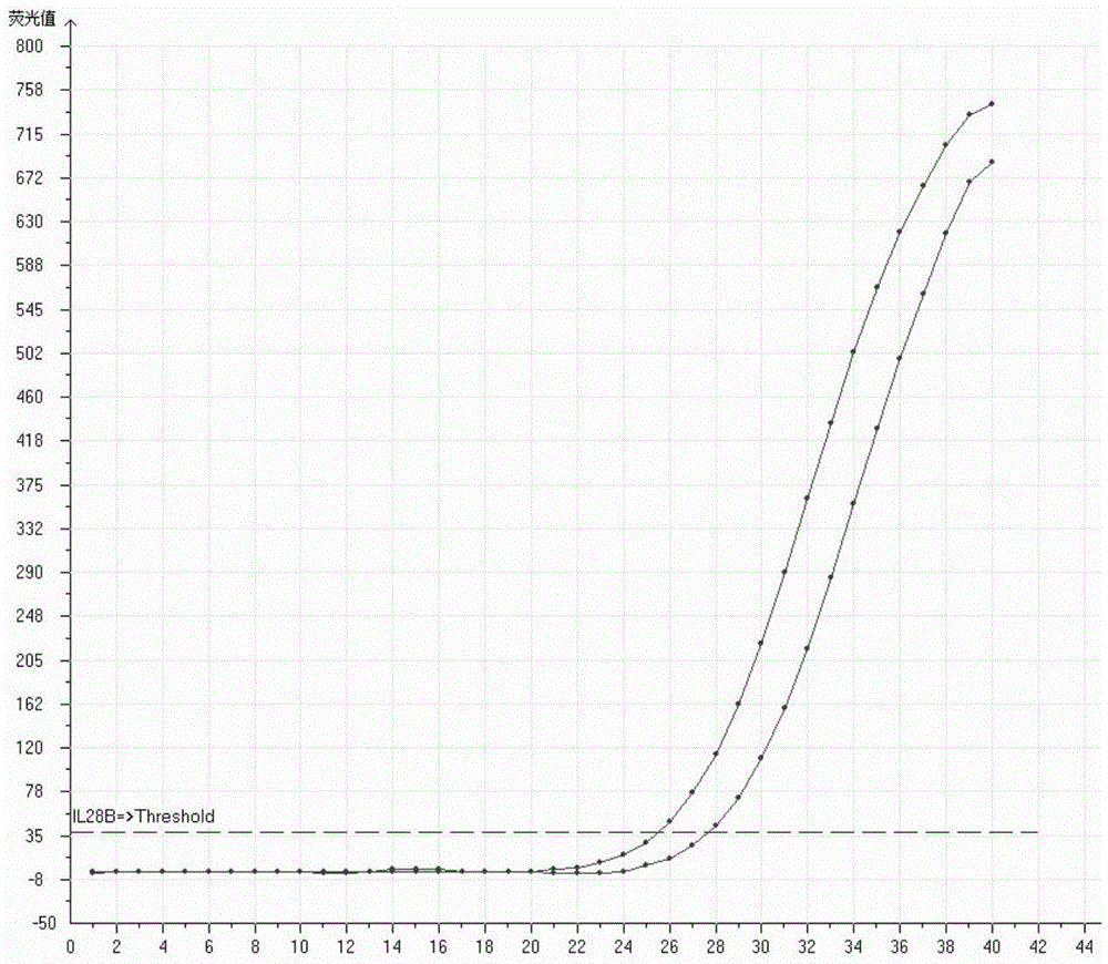 A human chromosome gene il28b site polymorphism detection kit and its detection method and application