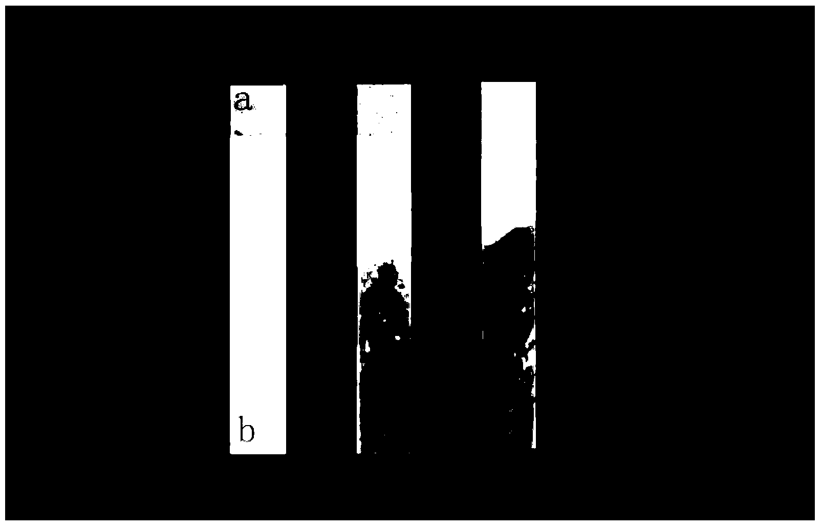 Preparation method of glass-substrate/silver nano-film/polyaniline electrochromic film