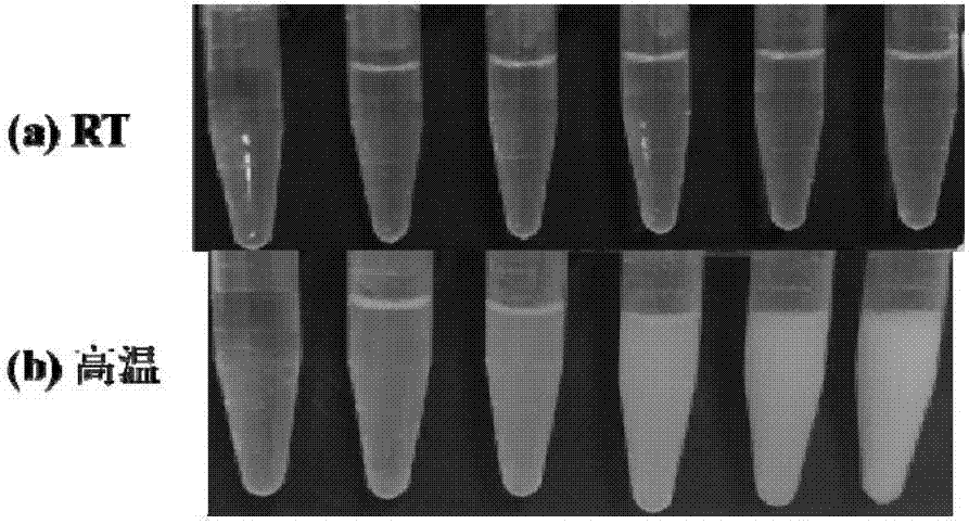 A functionalized temperature-sensitive polymer, a preparing method thereof and applications of the polymer