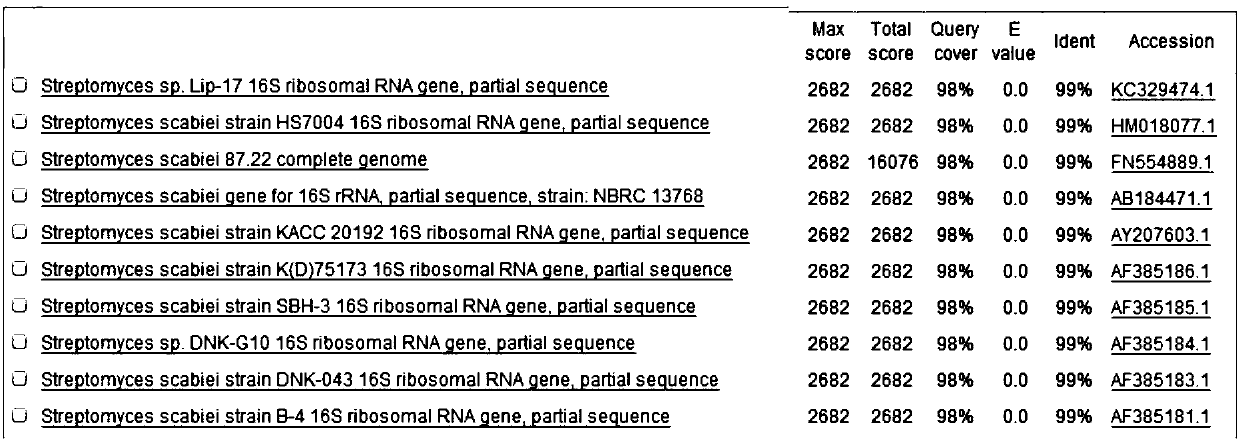 Separation and purification method and molecular identification method of potato scab pathogens