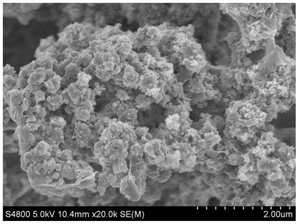 Foamy copper potassium ion battery material and preparation method thereof