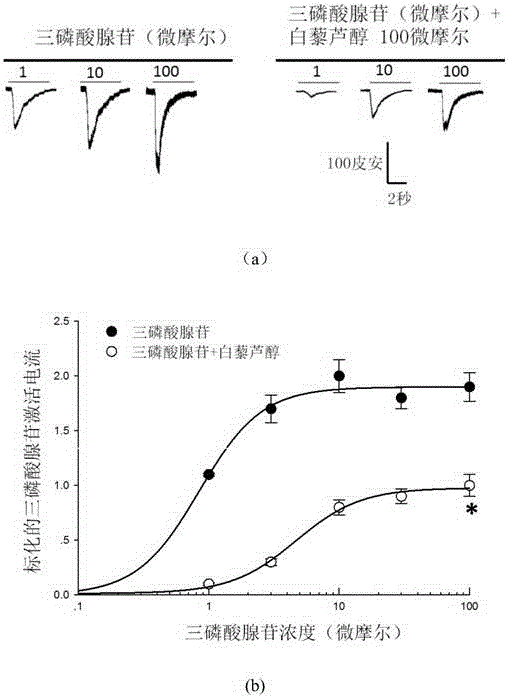 Application of resveratrol in preparing medicines for treating human immunodeficiency virus glycoprotein 120 induced neuropathic pains