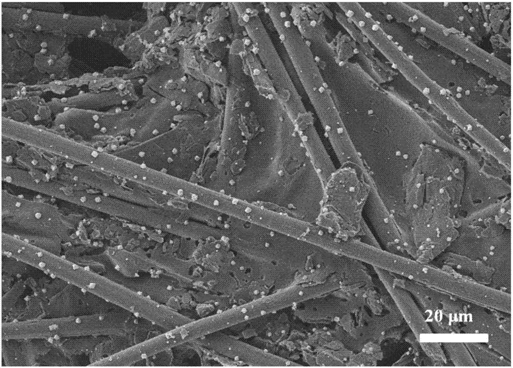 FeSe2 nanocomposite material and synthetic method and application thereof