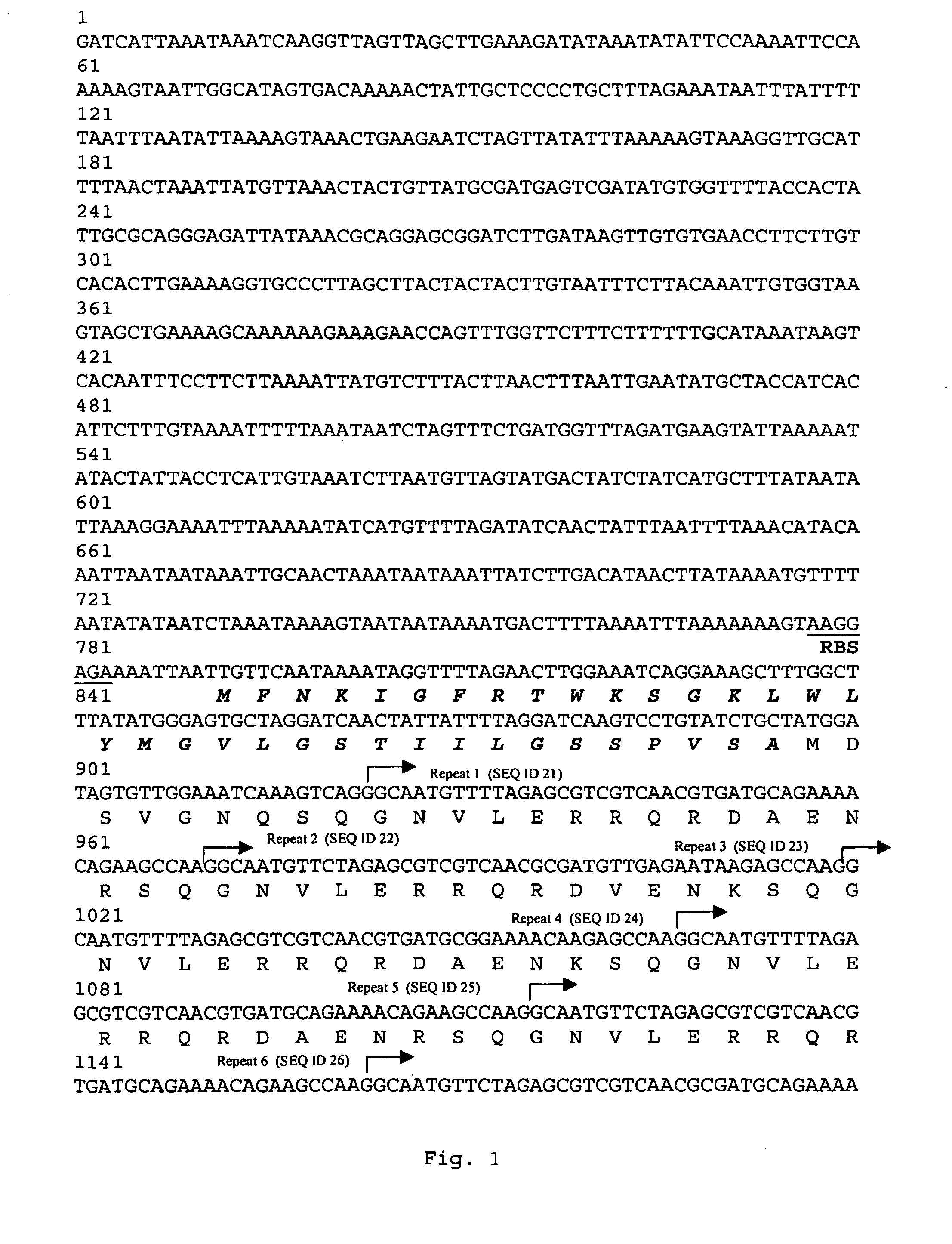 Nucleic acids coding for adhesion factor of group b streptococcus, adhesion factors of group b streptococcus and further uses thereof