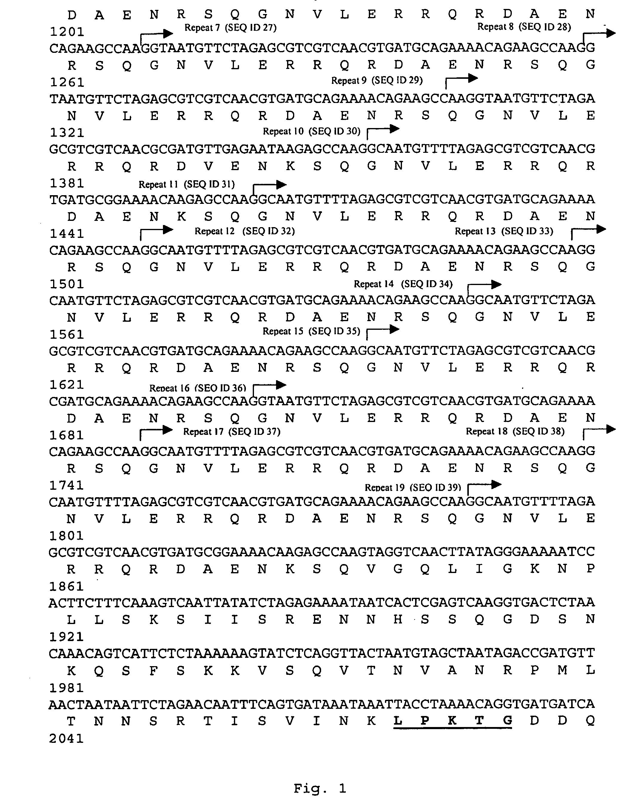 Nucleic acids coding for adhesion factor of group b streptococcus, adhesion factors of group b streptococcus and further uses thereof