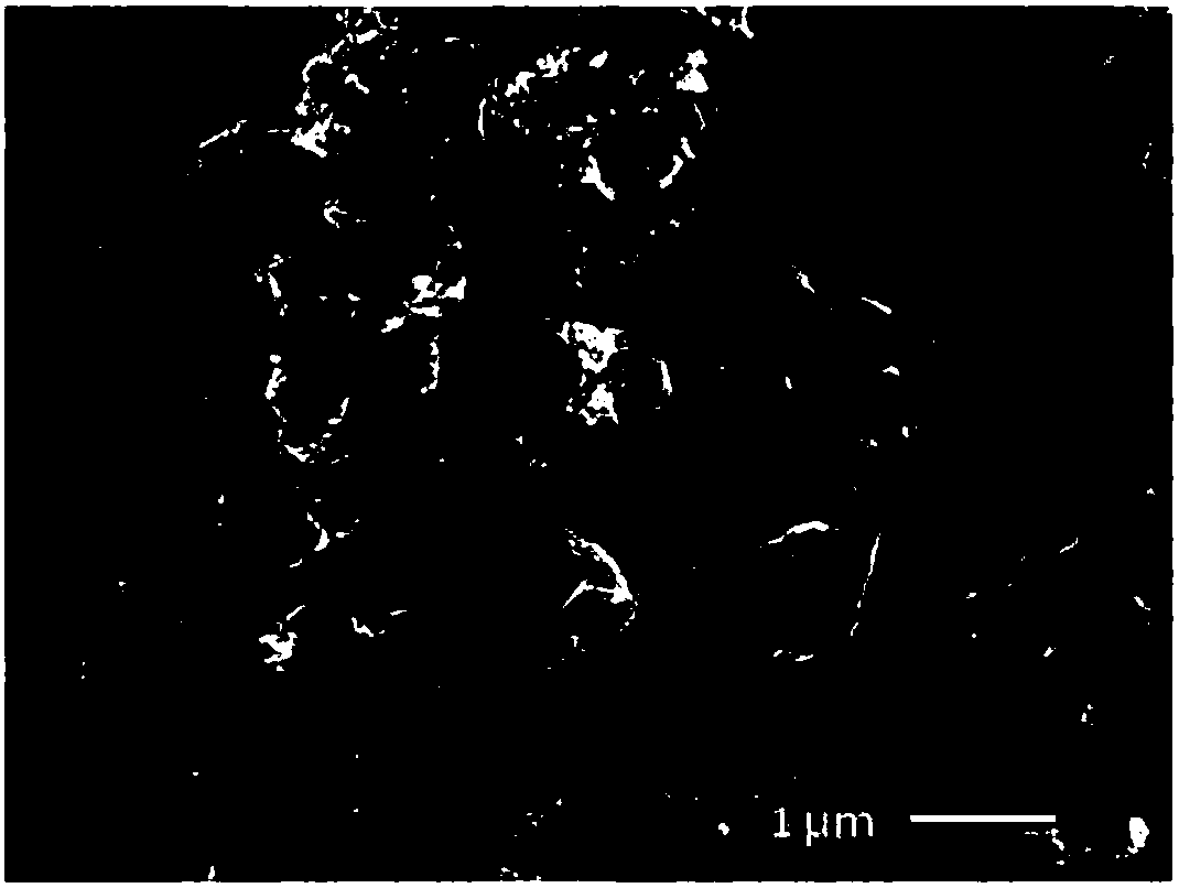 Preparation method and applications of nitrogen doped carbon particle/graphitized carbon-nitrogen composite material