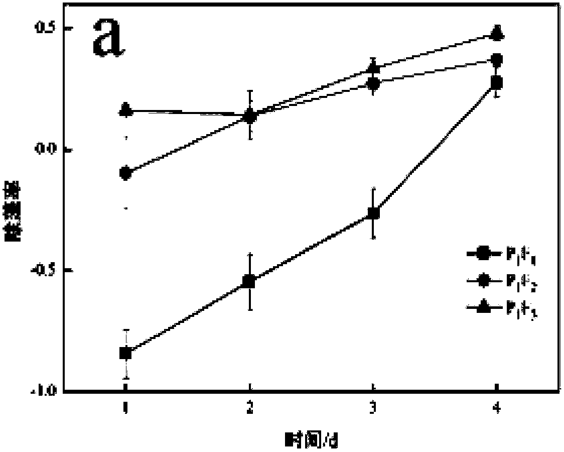 Magnetic high-efficiency algaecide and preparation method and application thereof