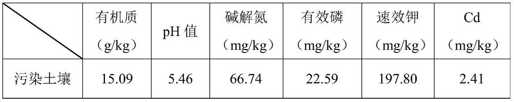 Rice fertilizer-passivator combination capable of preventing and controlling absorption of soil cadmium pollution and application of rice fertilizer-passivator combination