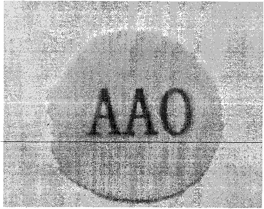 Method for preparing zinc oxide nanowire array based on coordination chemical reaction theory